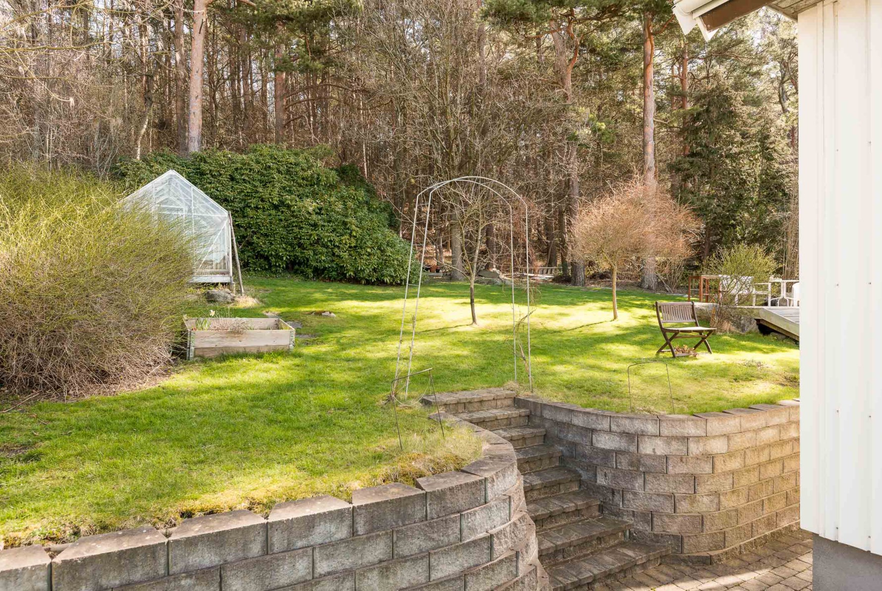 Trädgård med växthus