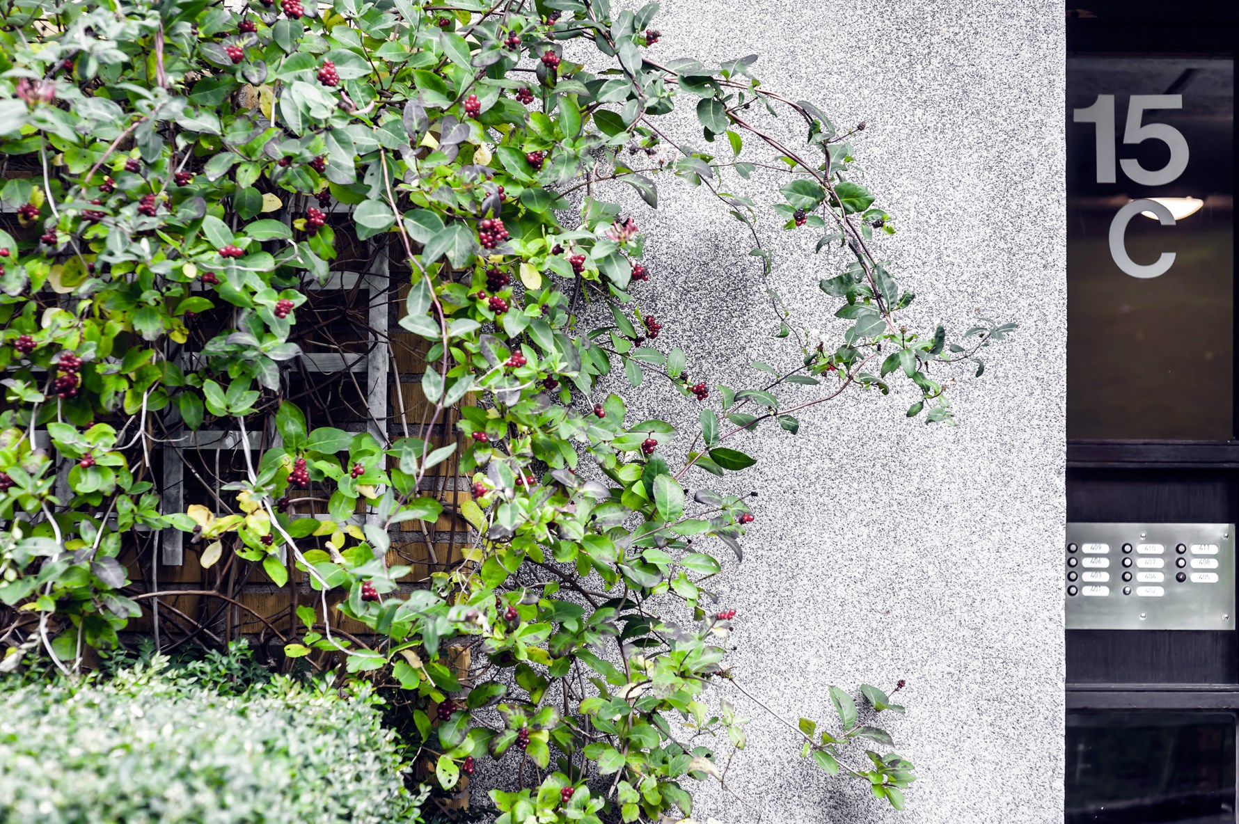 Bild 3 Kabelgatan 15 C