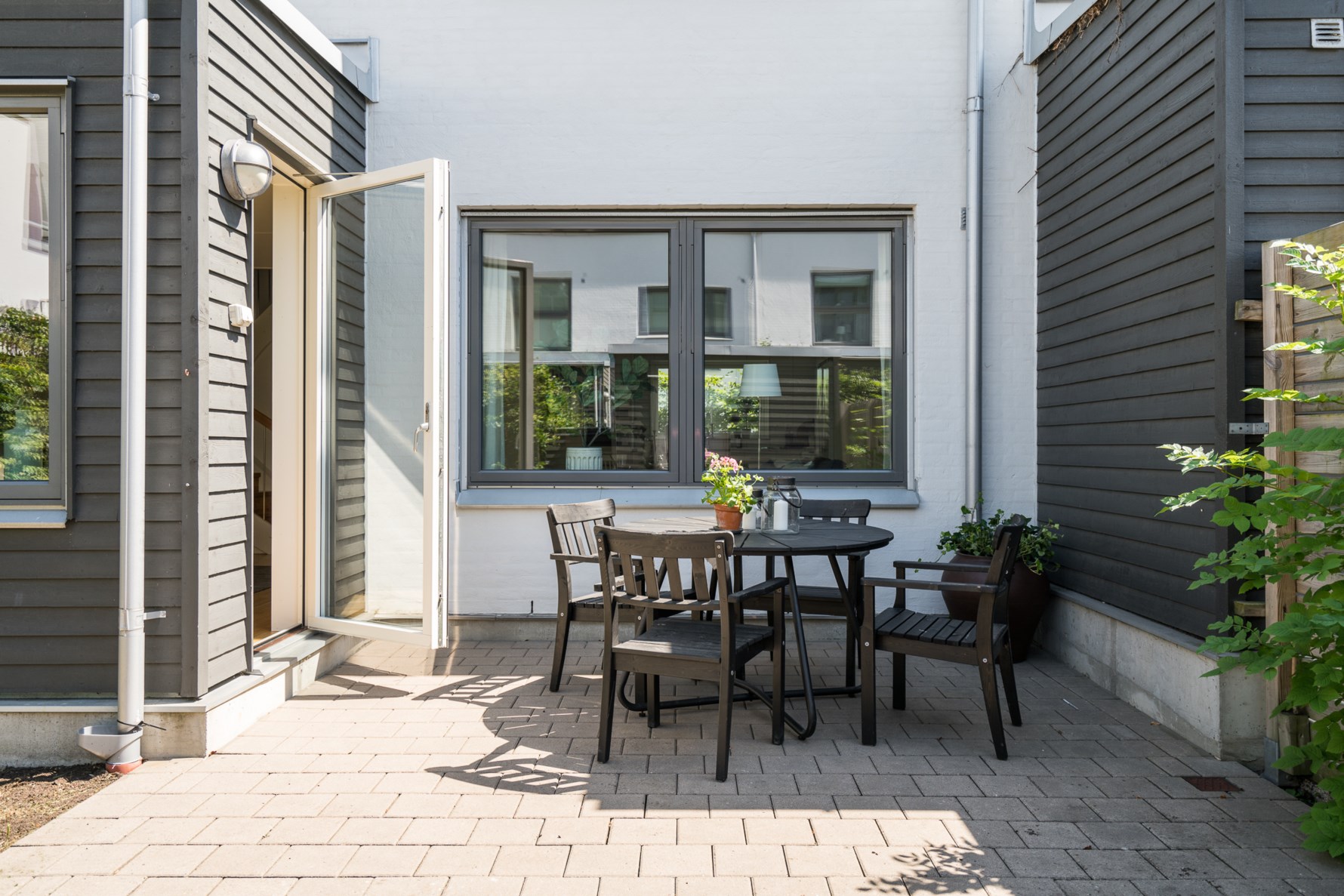 Bild 3 Rositas Gata 3