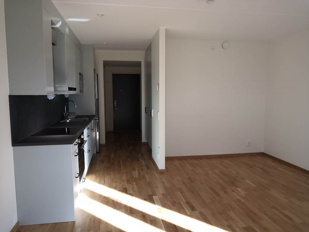 Lågupplöst Säljarens bild