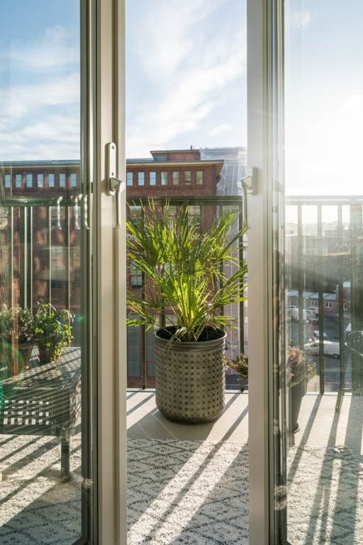 Lågupplöst En växt som trotsar kylan