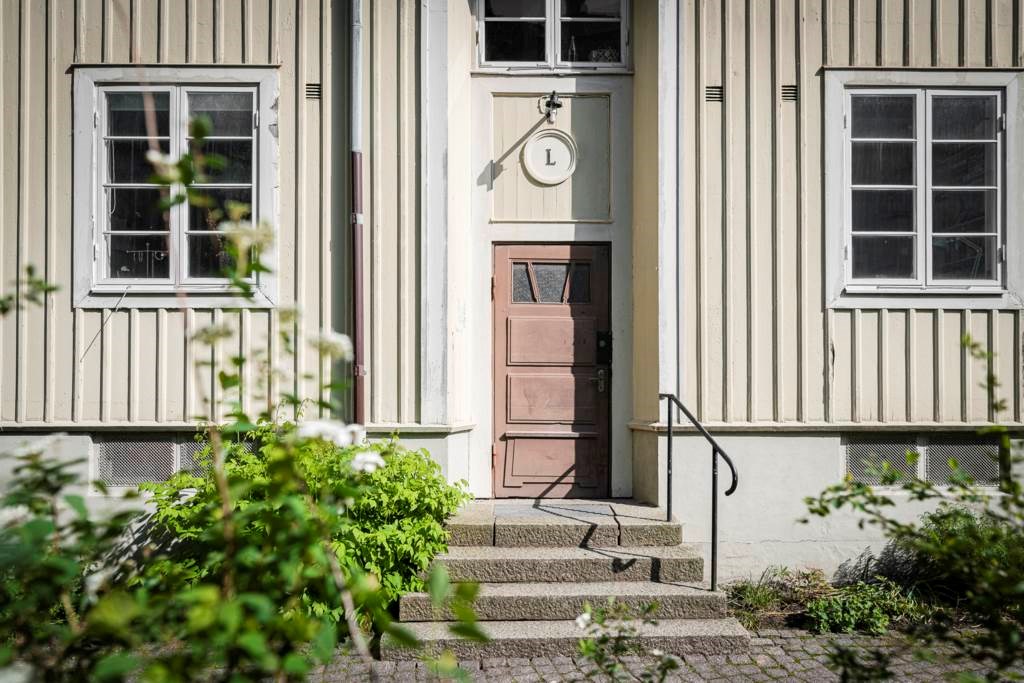 Lågupplöst