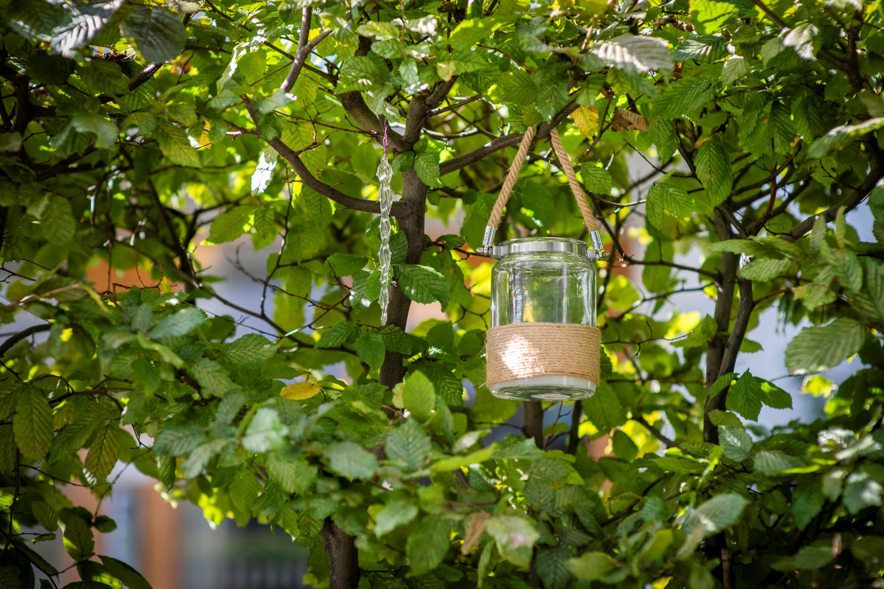 Bild 6 Hinderbanan 12