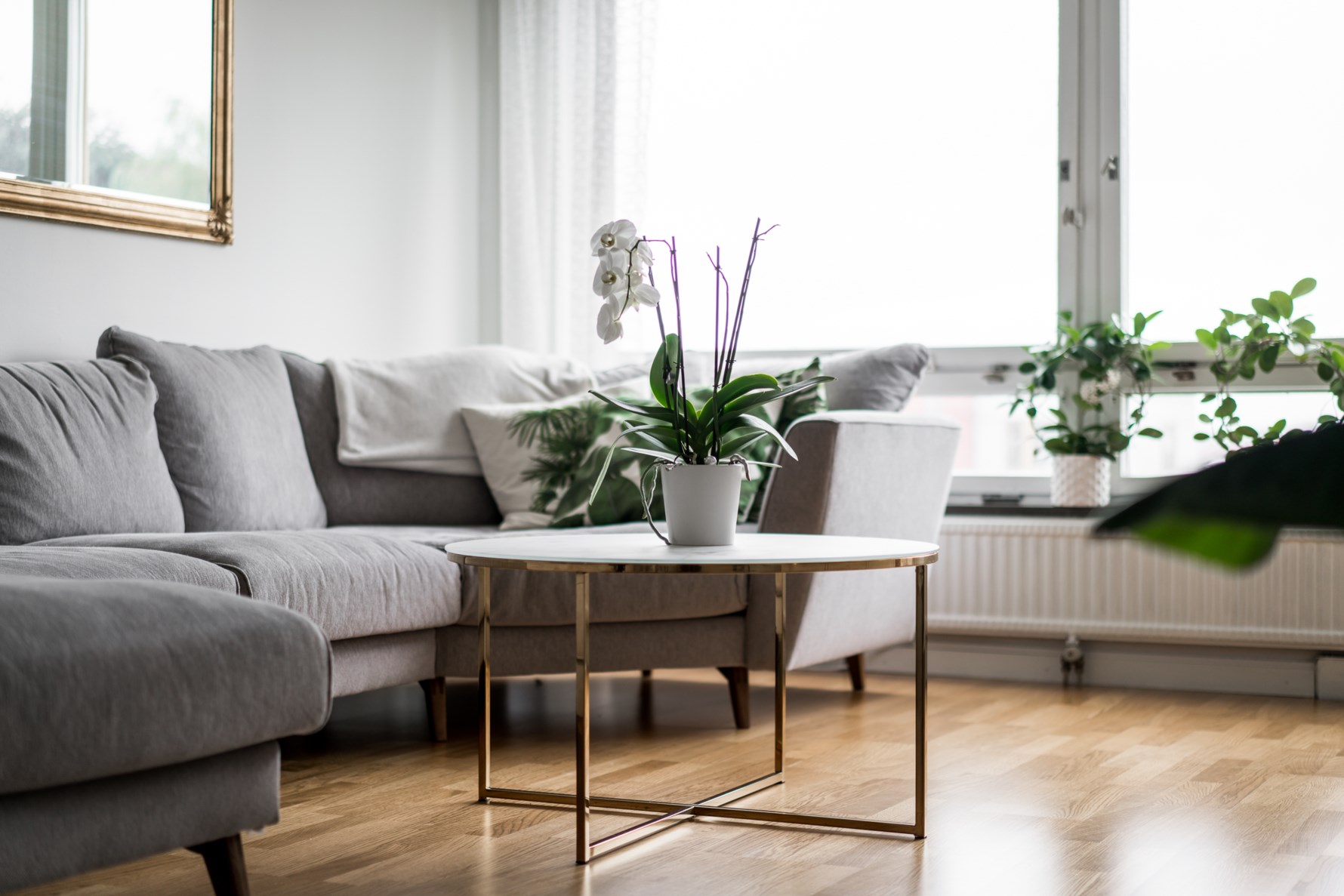 Bild 5 Fyrmästaregången 18