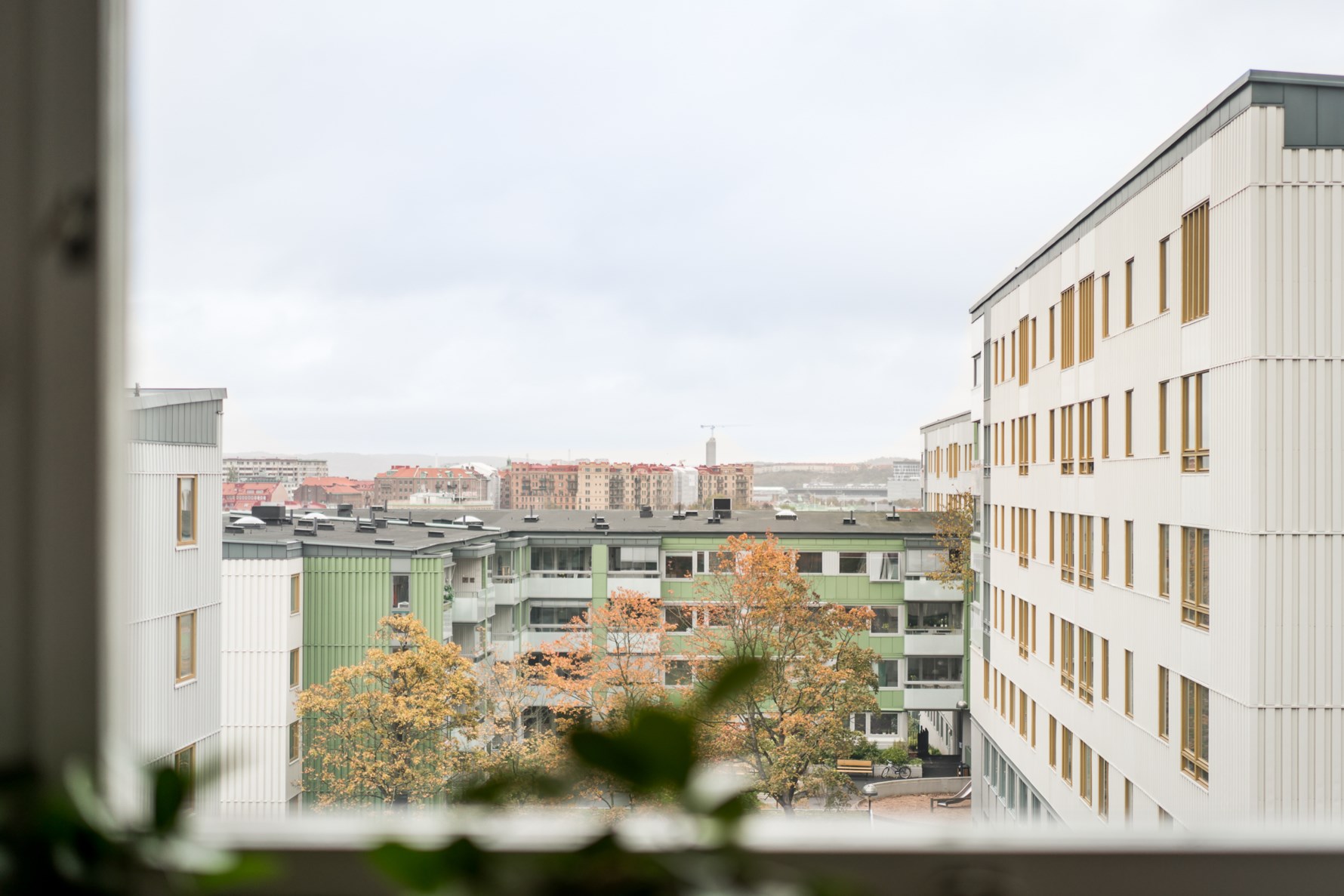 Bild 2 Fyrmästaregången 18