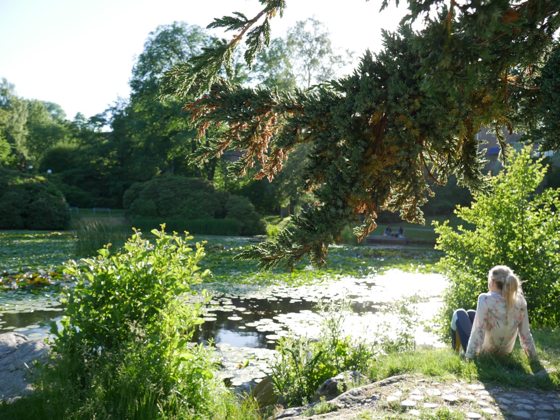 Bild 4 Gibraltargatan 19B