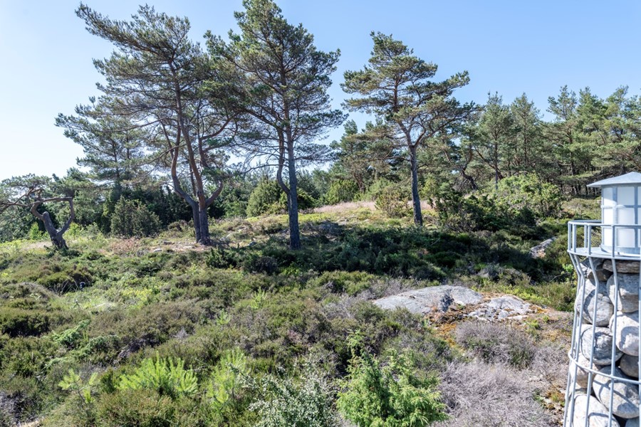 Bild 4 Norra Hultavägen 16B
