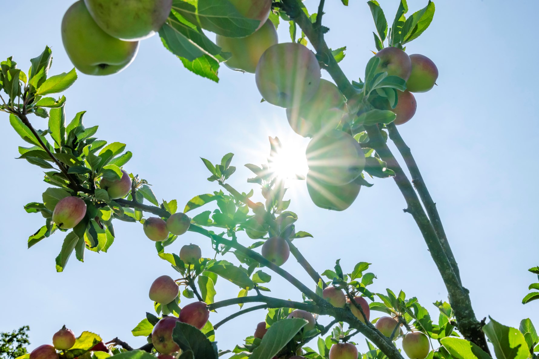 Bild 3 Hulanvägen 56