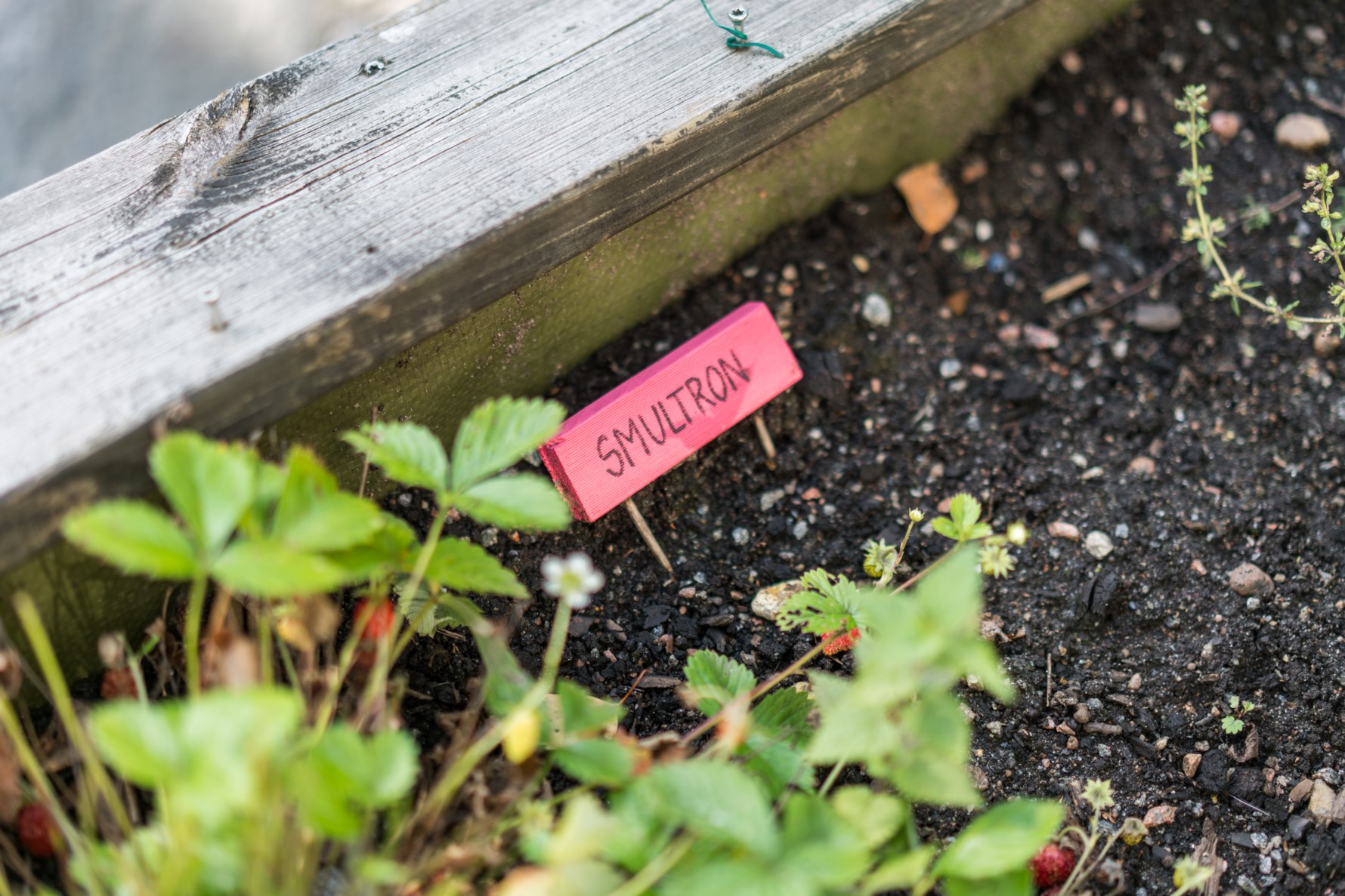 Bild 4 Smörslottsgatan 59