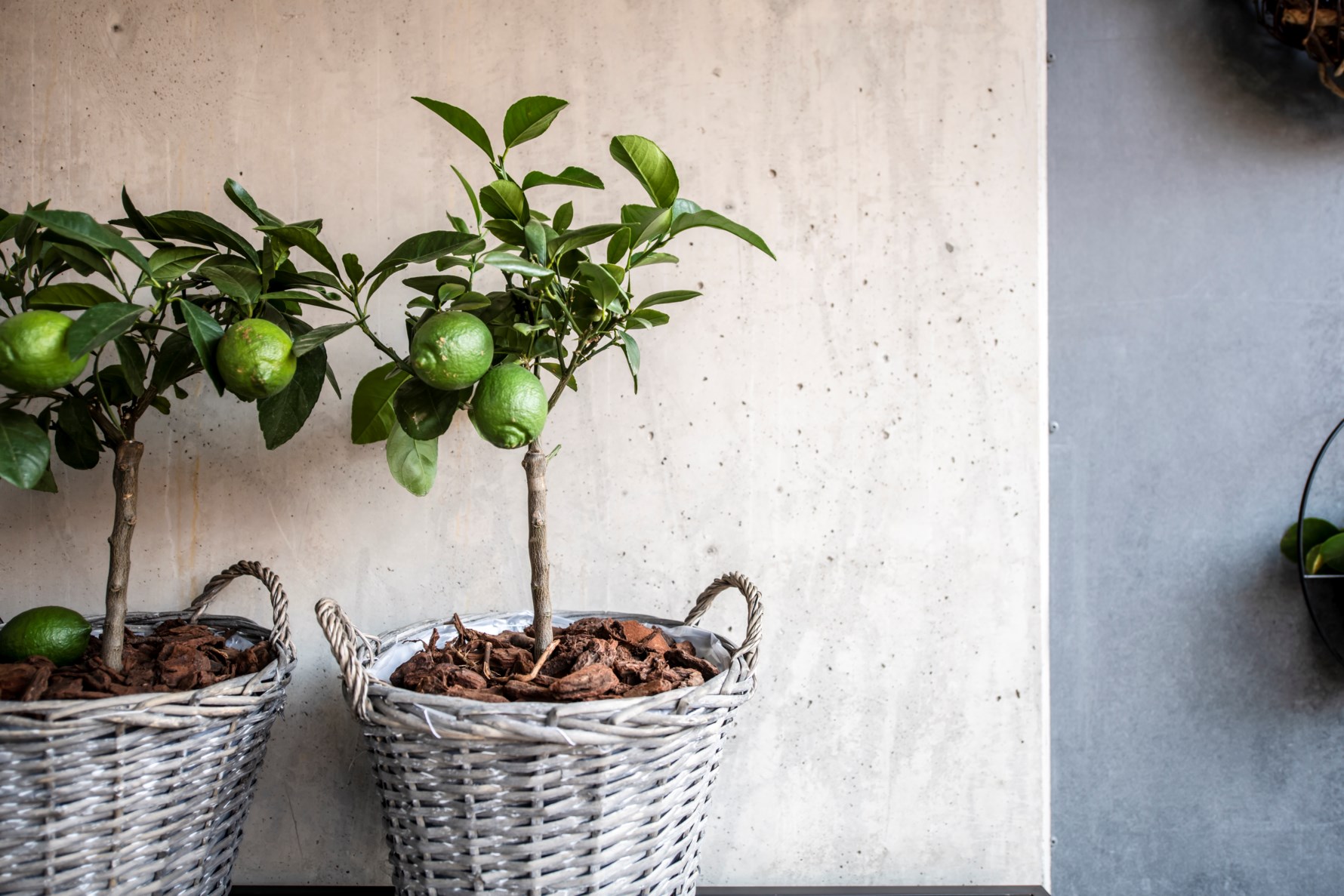 Bild 5 A R Lorents gata 61