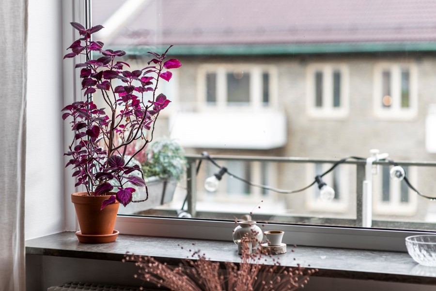 Bild 5 Kobbarnas Väg 7