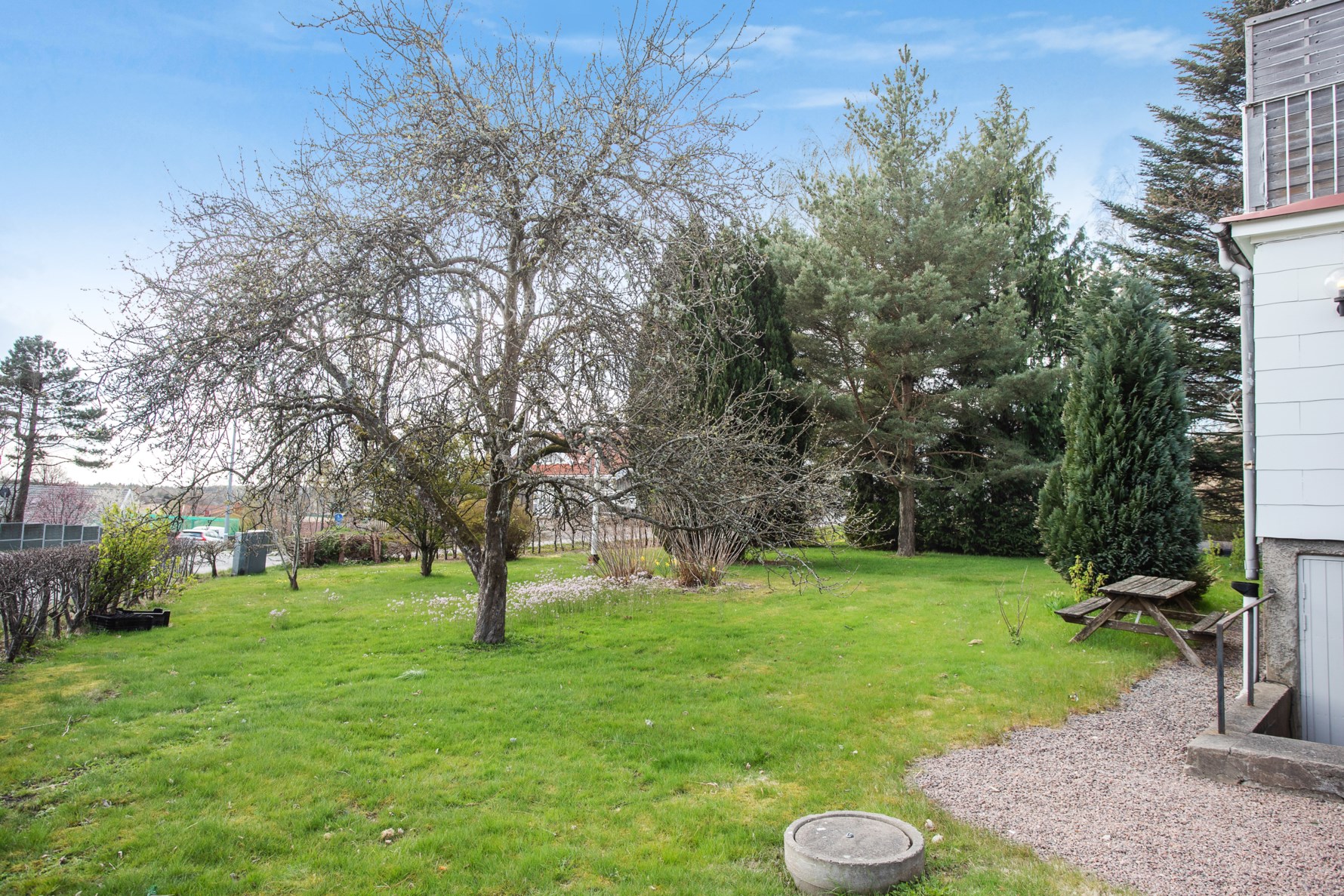 Stor lummig trädgård