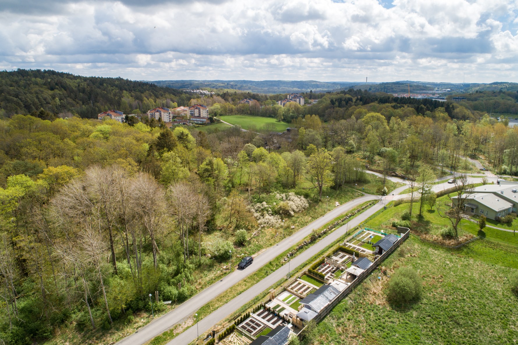 Bild 5 Trädgårdsberget 13