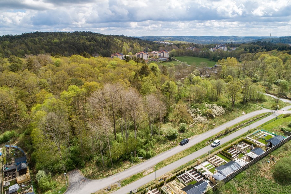 Trädgårdsberget 13