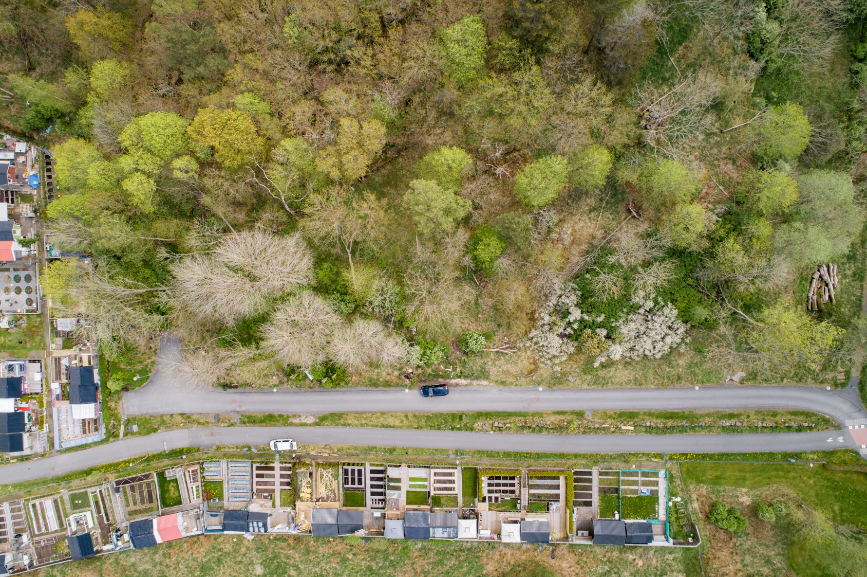 Bild 3 Trädgårdsberget 13