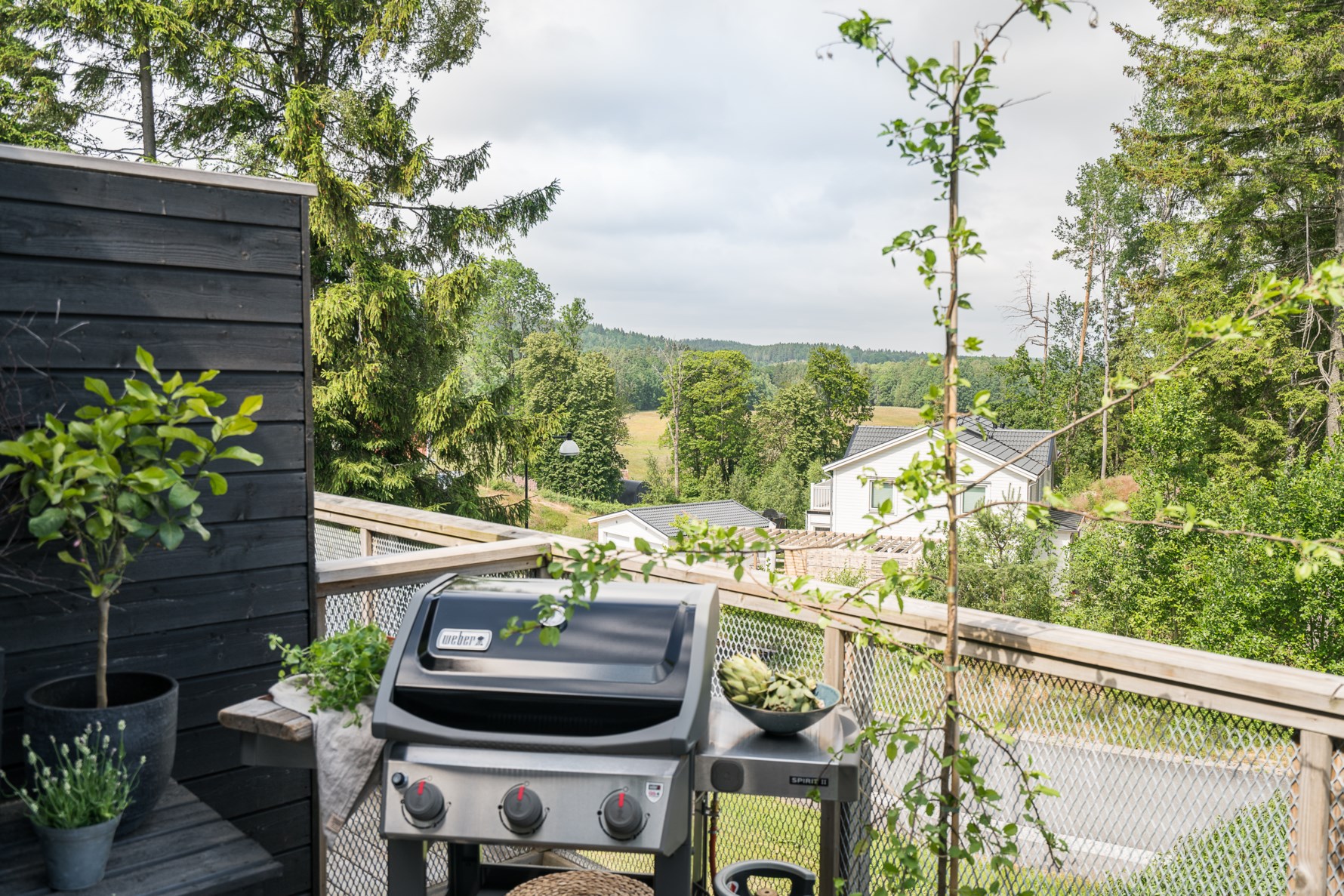 Bild 4 Bergsslingan 61