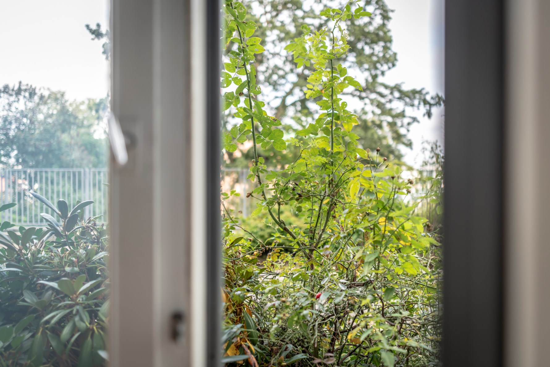 Bild 3 Mattssonsliden 4