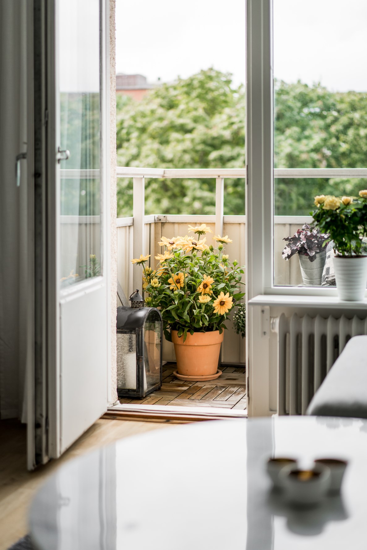 Bild 5 Gibraltargatan 38