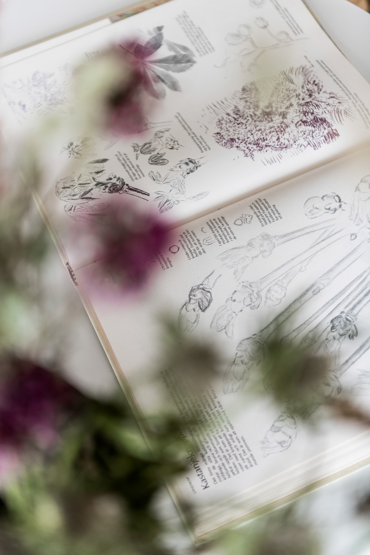 Bild 5 Gyllenstensgatan 1