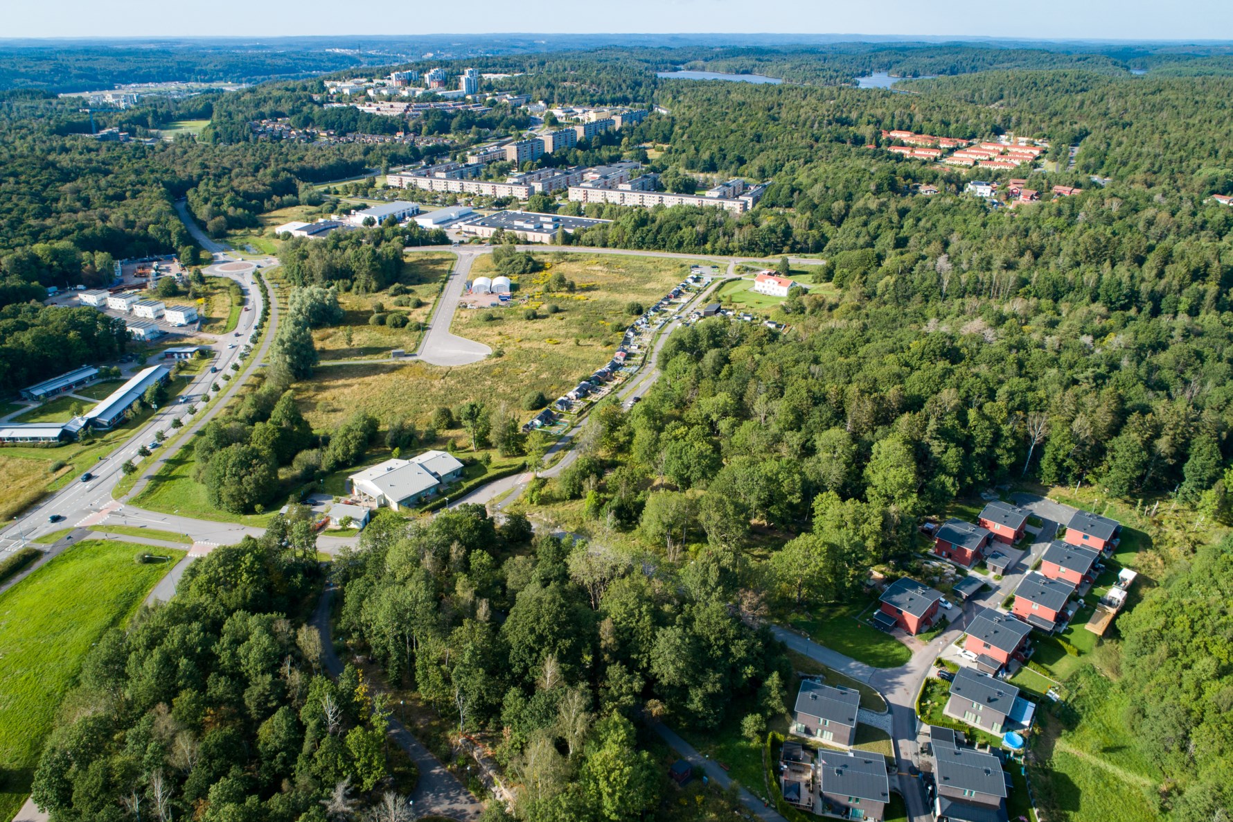 Bild 6 Trädgårdsängen 6