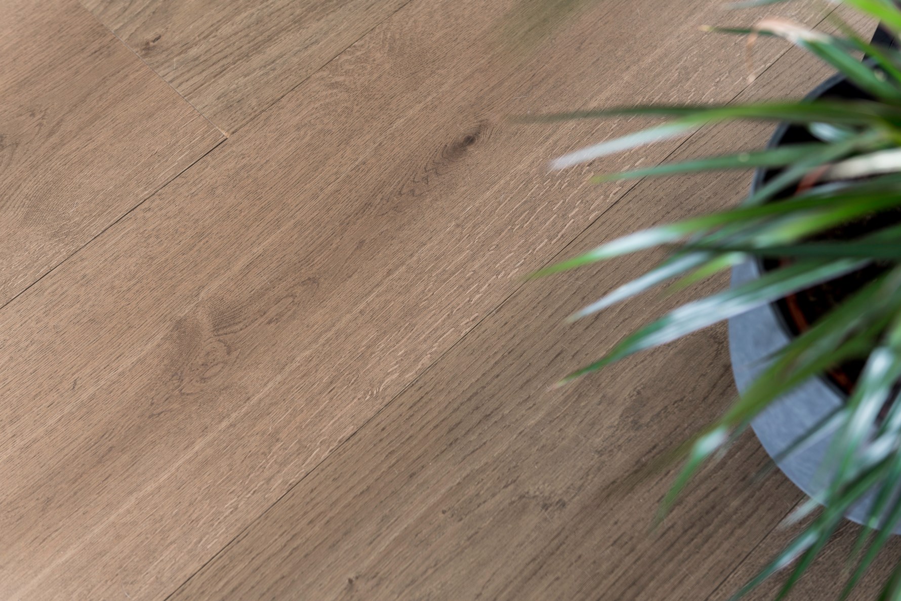 Bild 4 Lantmilsgatan 6