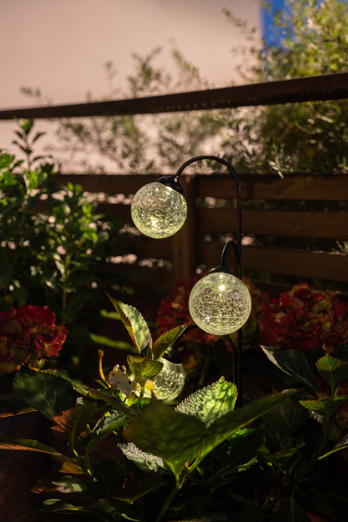 Bild 5 Kamomillvägen 46