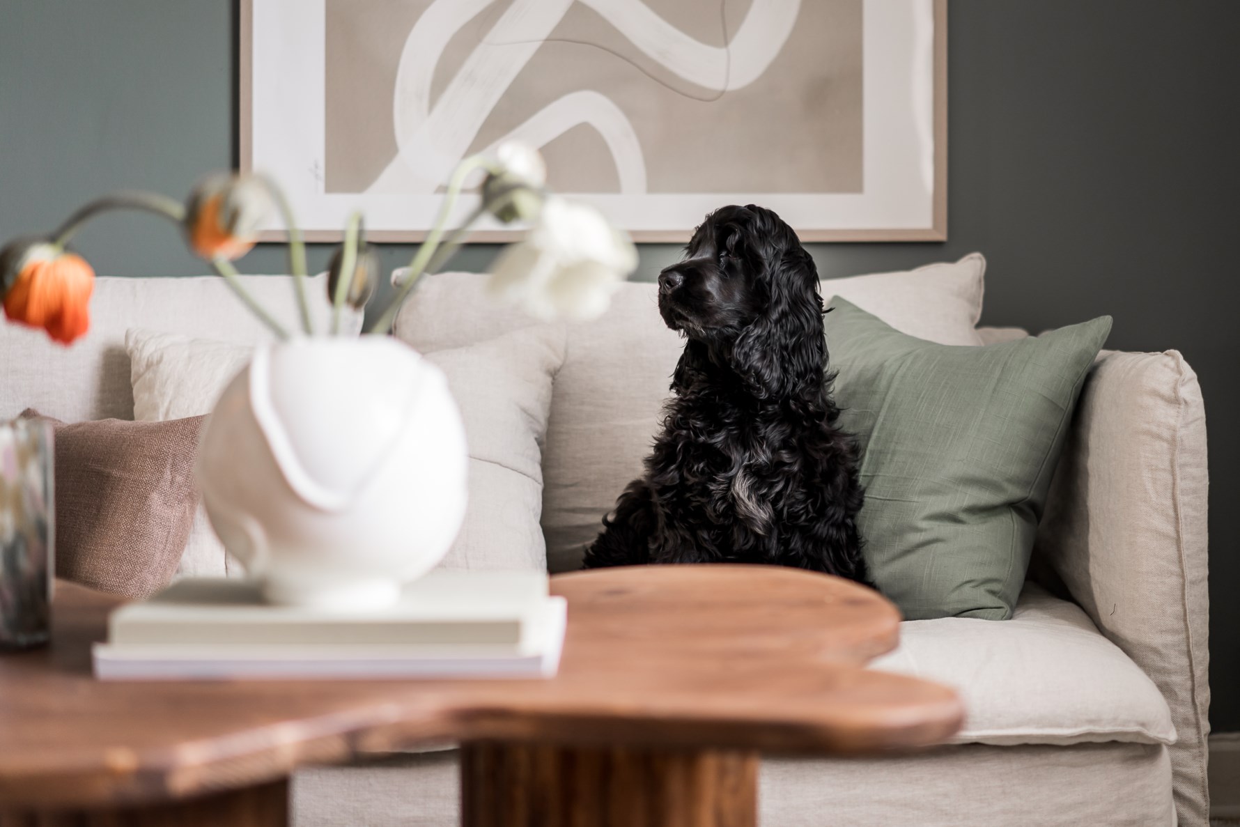 Bild 3 Framnäsgatan 10