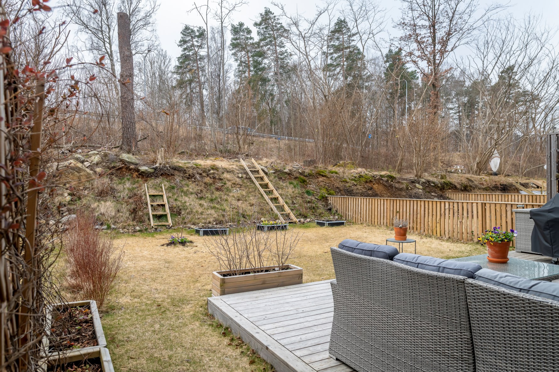 Vårkänslor när solen börjar titta fram mellan trädkronorna