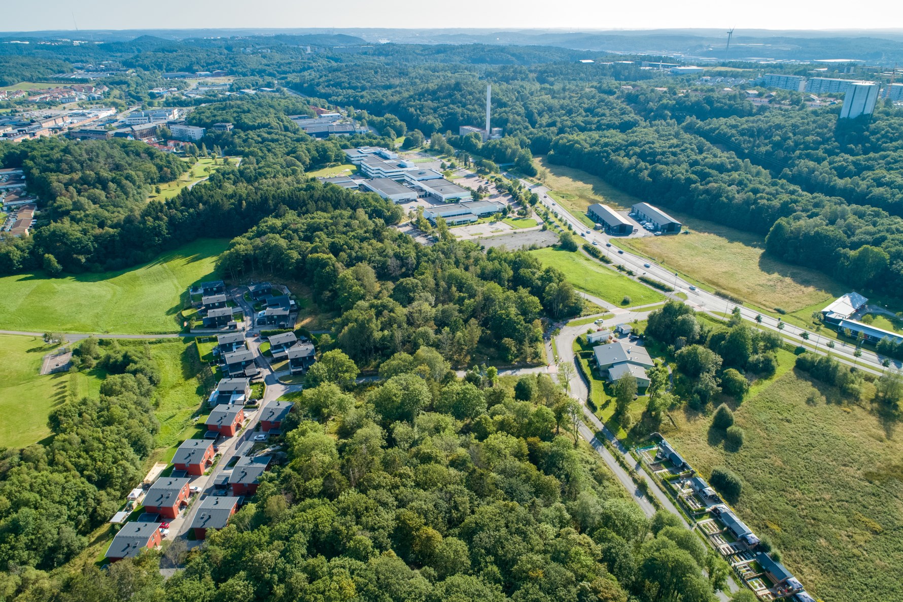 Bild 4 Trädgårdsängen 3