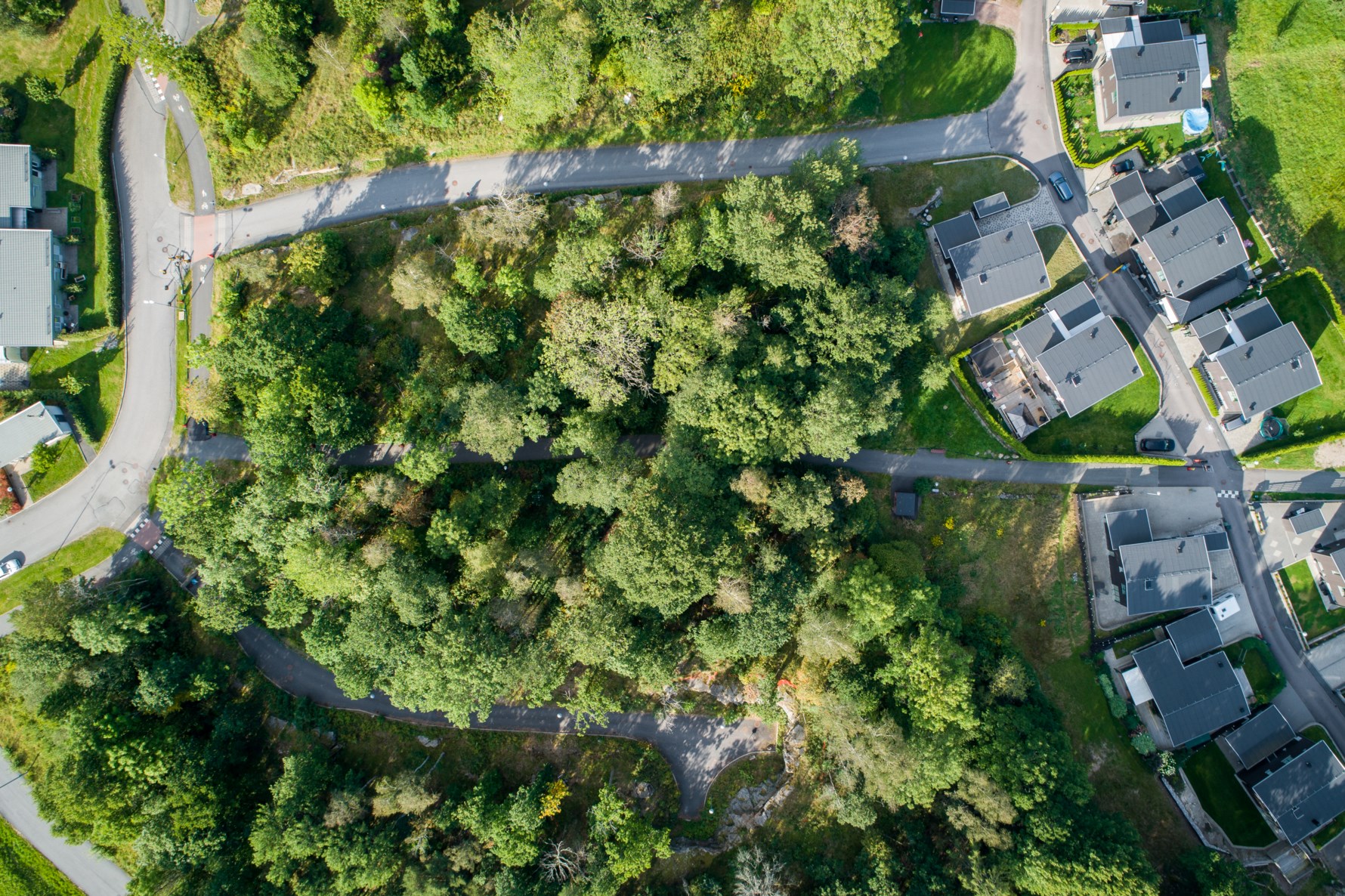 Bild 5 Trädgårdsängen 3