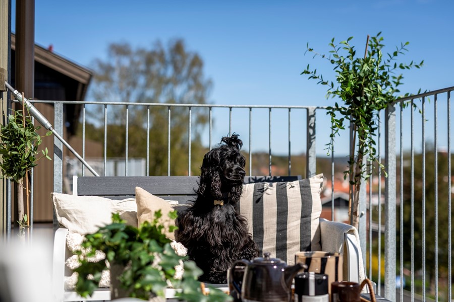 Bild 6 Ljungslättsgatan 6B