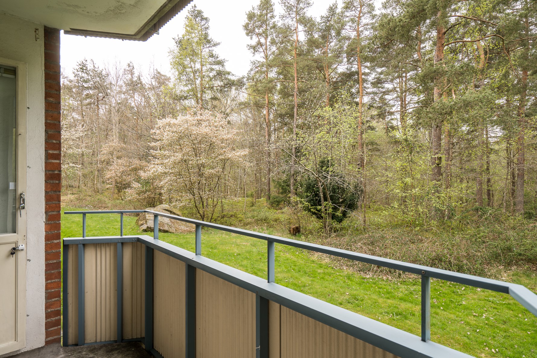 Bild 1 Träringen 44