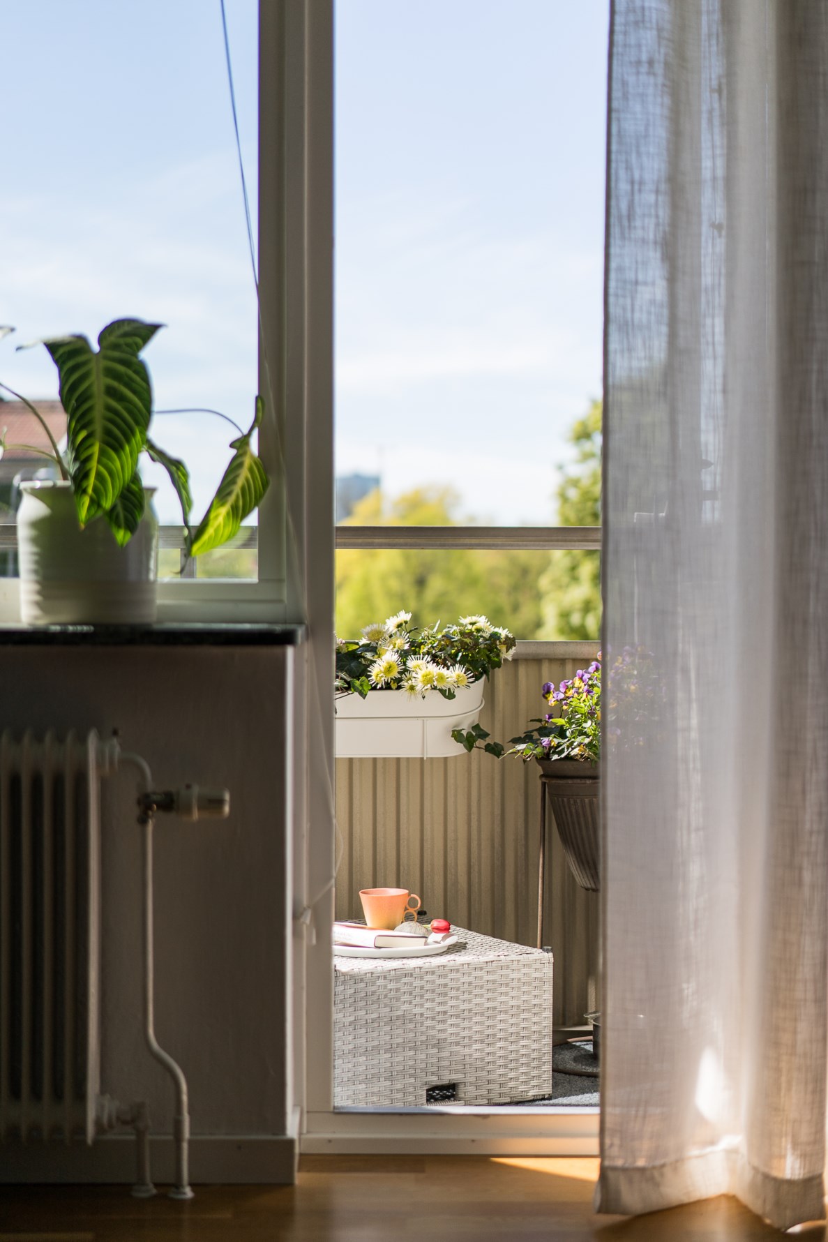 Bild 6 Töpelsgatan 6B