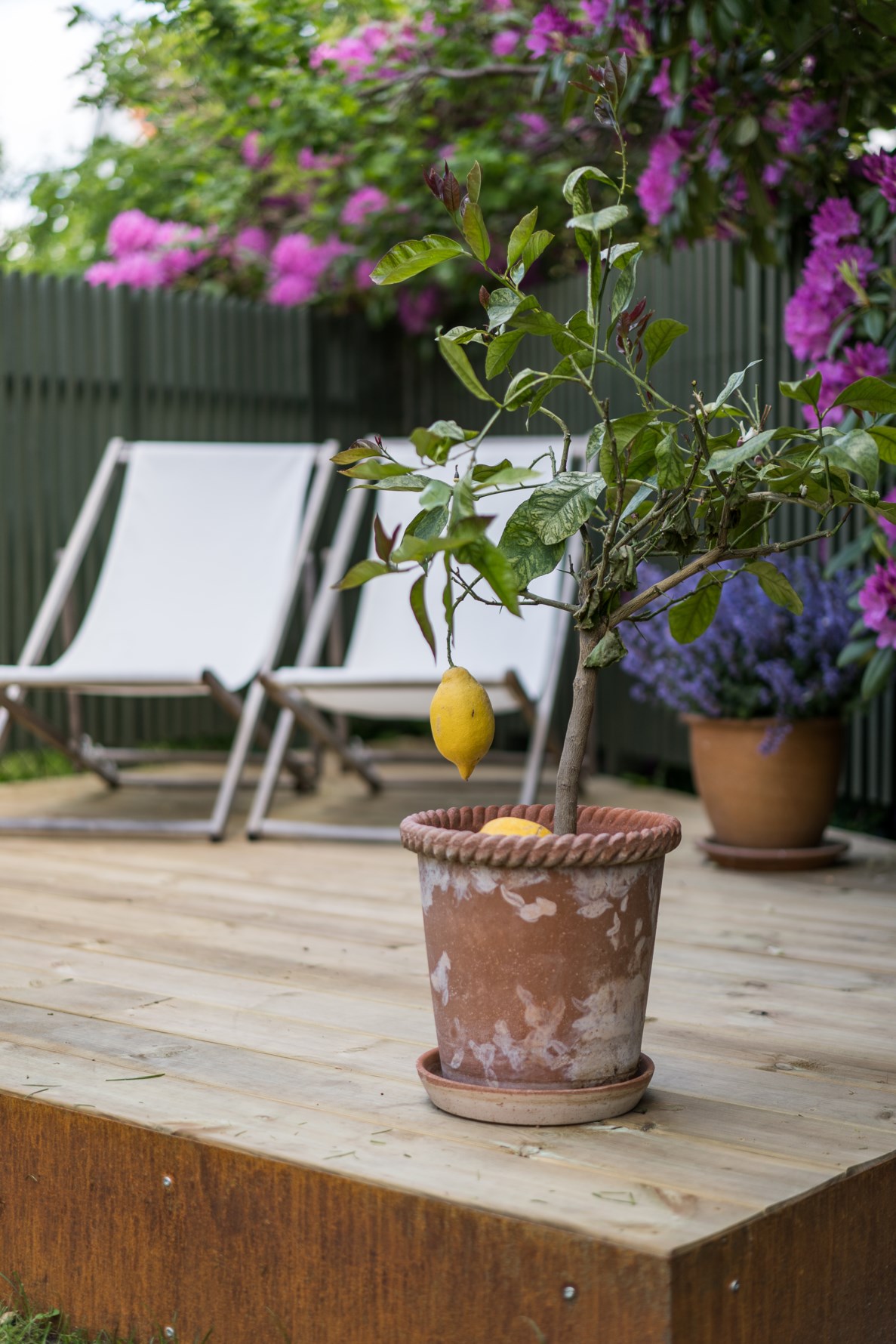 Bild 5 Olof Skötkonungsgatan 64