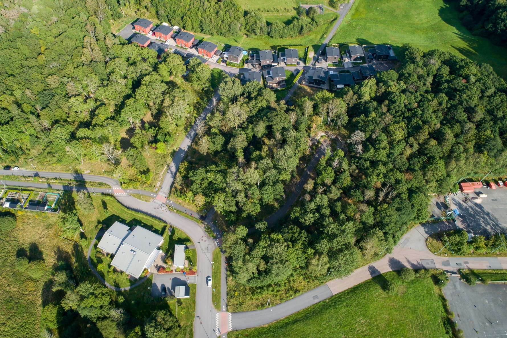 Bild 3 Trädgårdsbacken 7