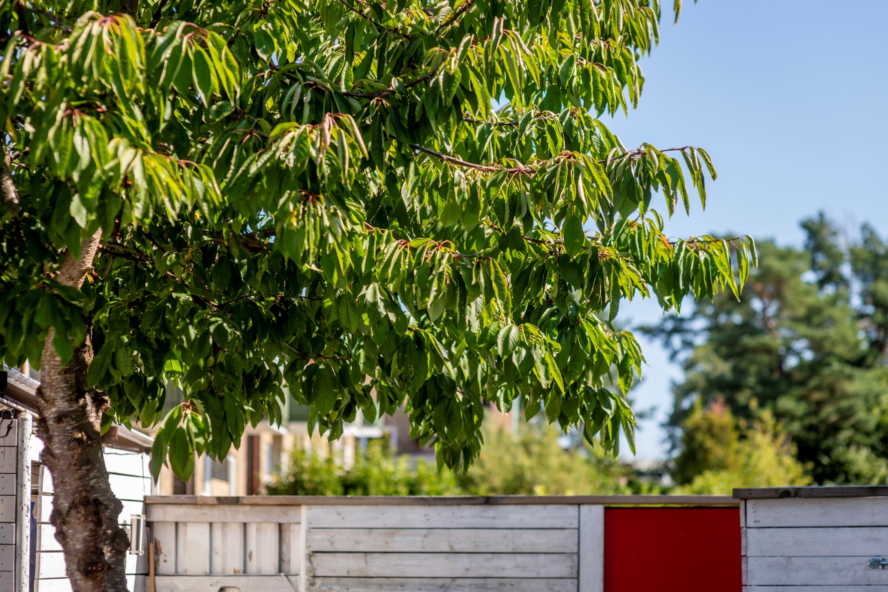 Bild 3 Aprilgatan 6C