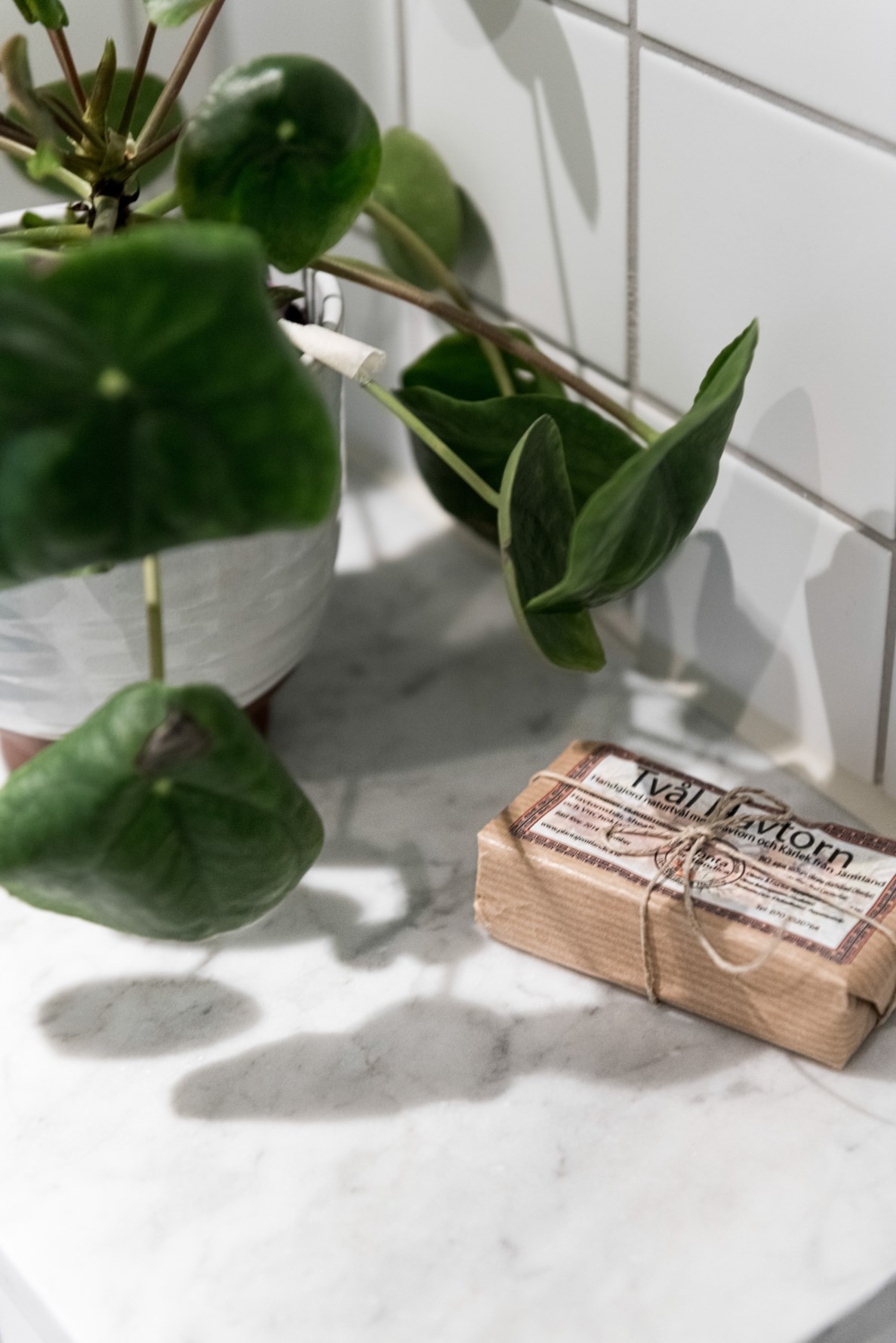 Bild 6 Plåtmyntsgatan 11