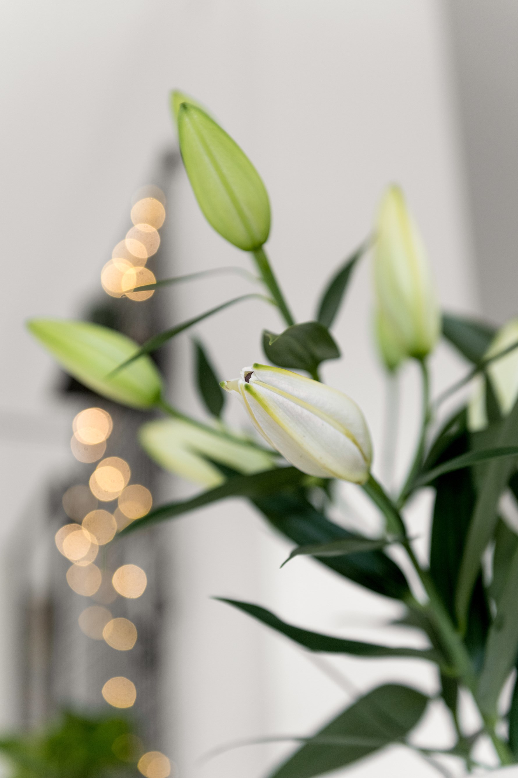 Bild 6 Arvid Lindmansgatan 23B