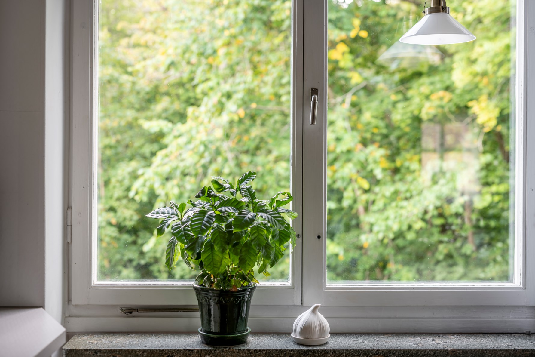 Bild 4 Iskällareliden 13B