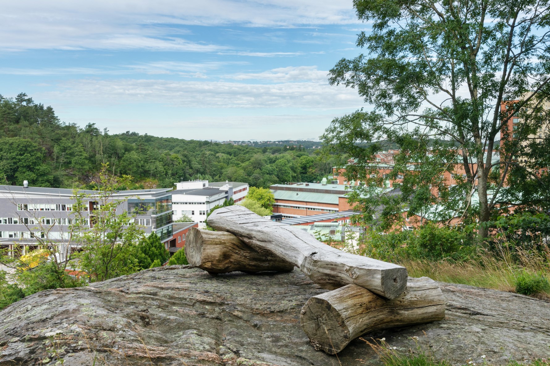 Bild 4 Doktor Lindhs gata 6