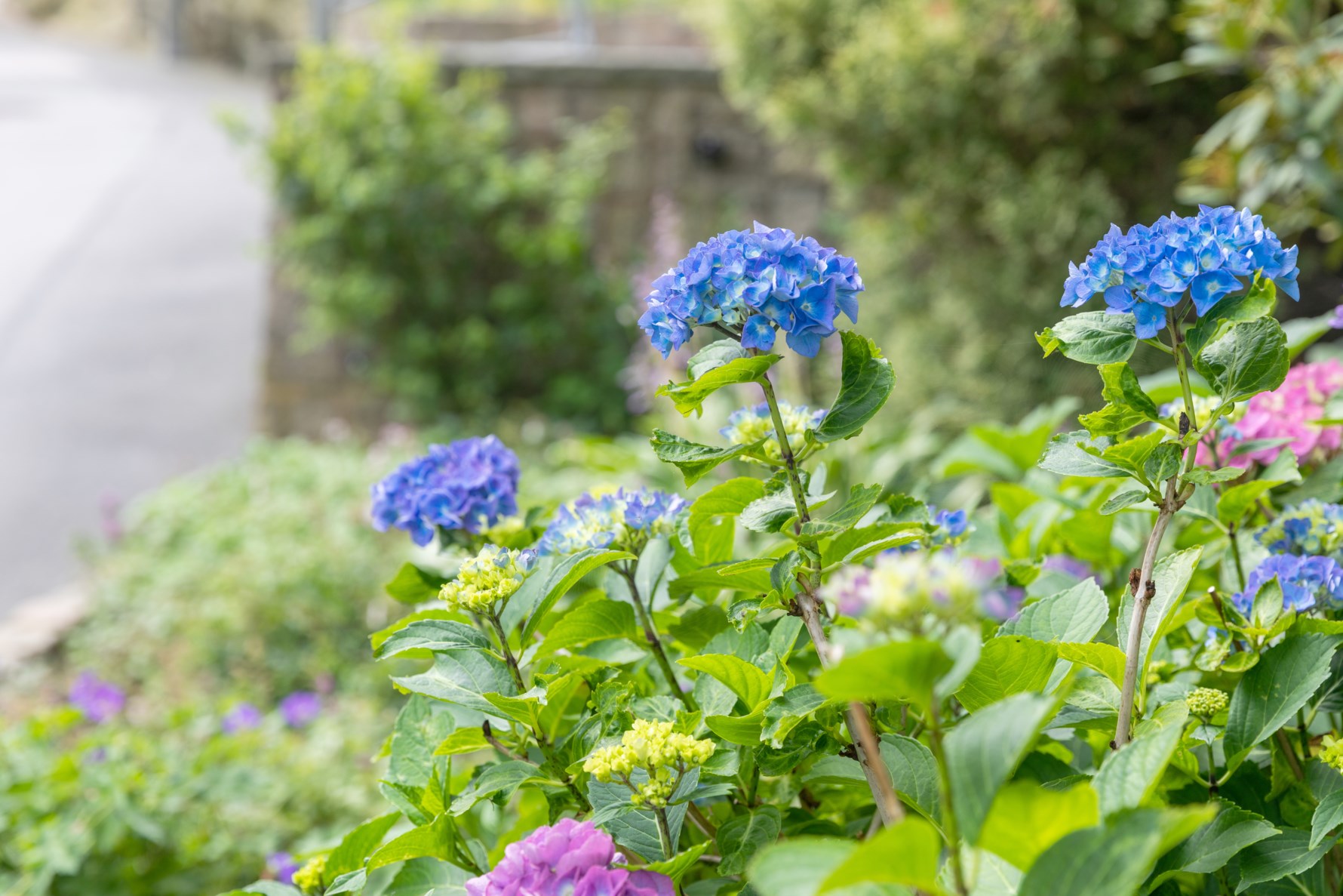 Bild 5 Doktor Lindhs gata 6