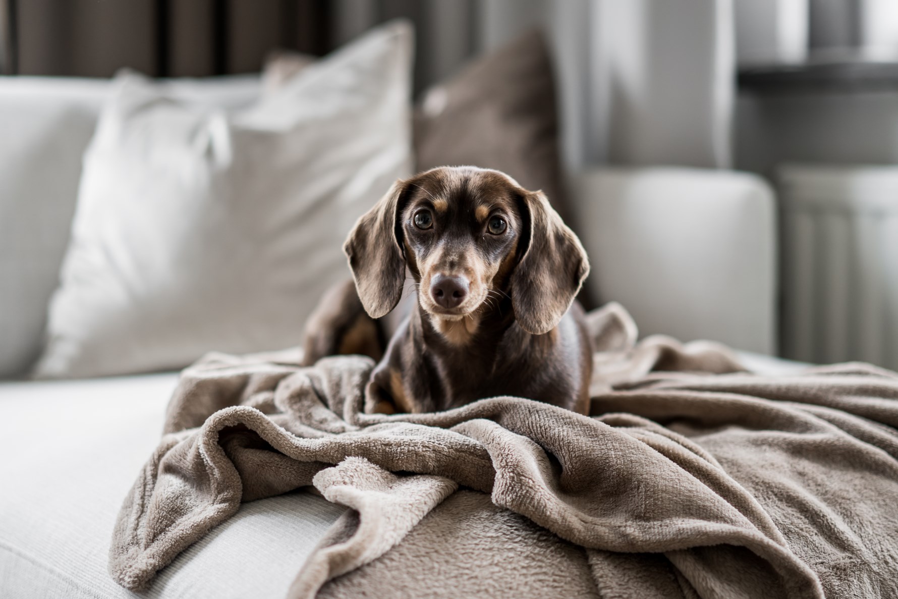 Bild 3 Batterigatan 7A