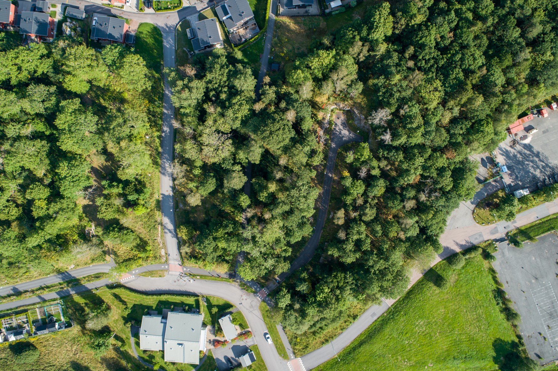 Bild 5 Trädgårdsängen 6