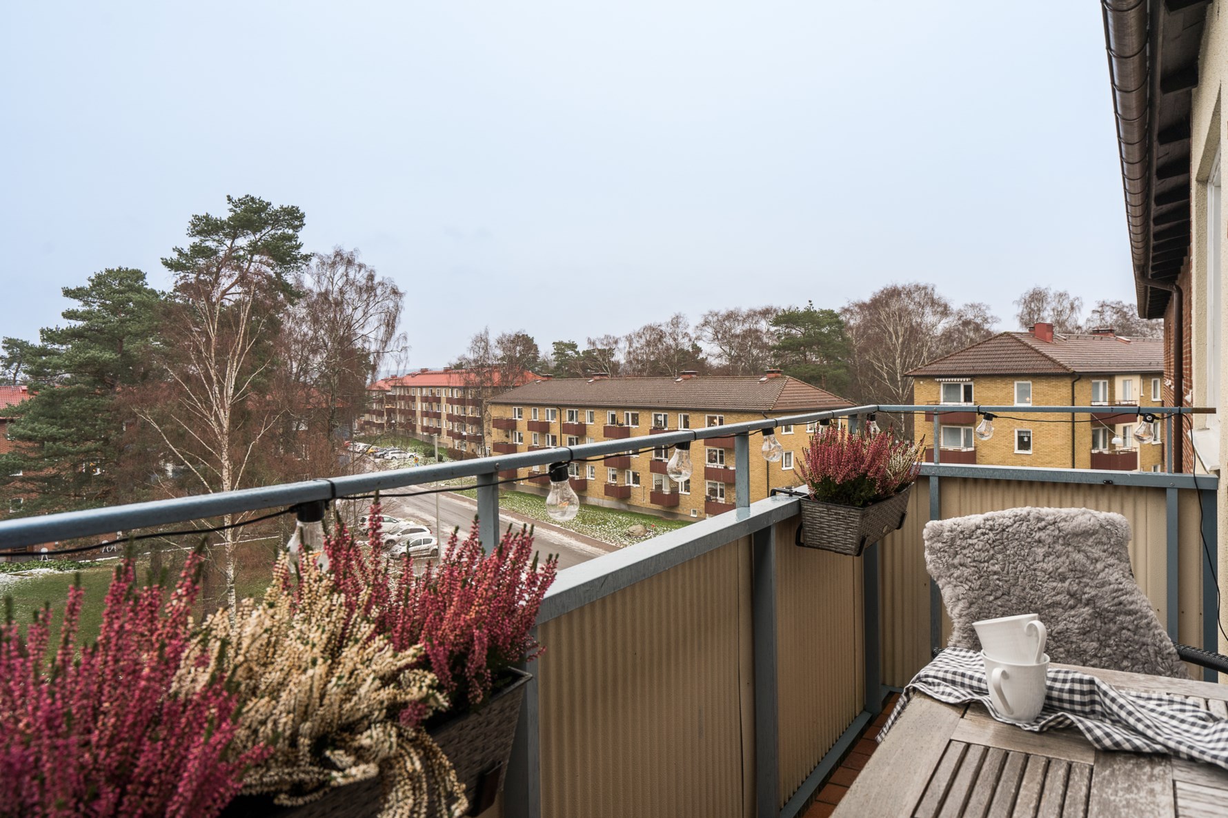 Bild 2 Träringen 50