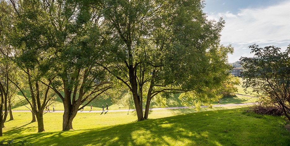 Bild 5 Långåkern 39