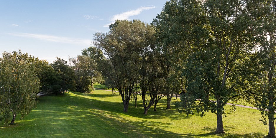 Bild 4 Långåkern 39