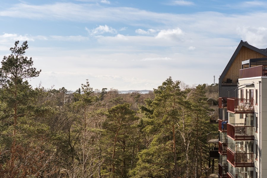 Bild 6 Uggleberget 24