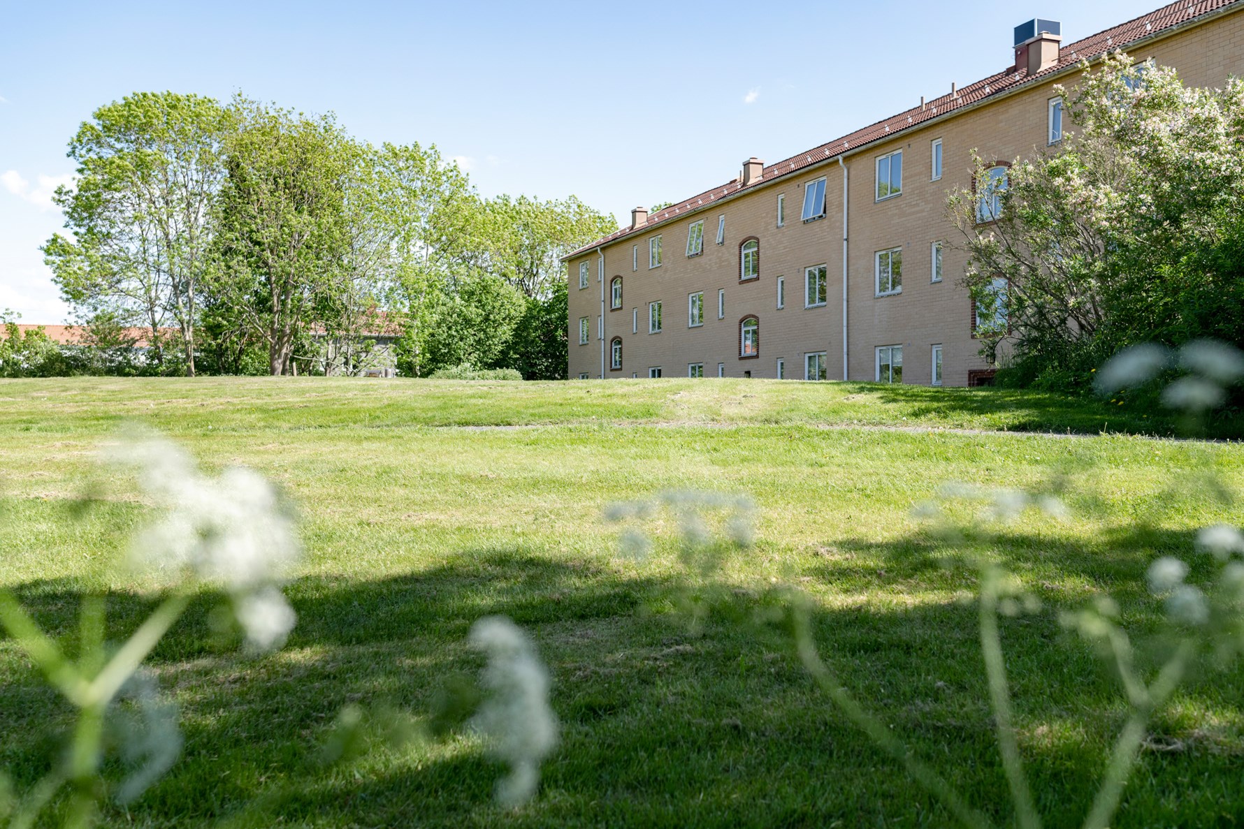 Bild 3 Cosselsgatan 3A