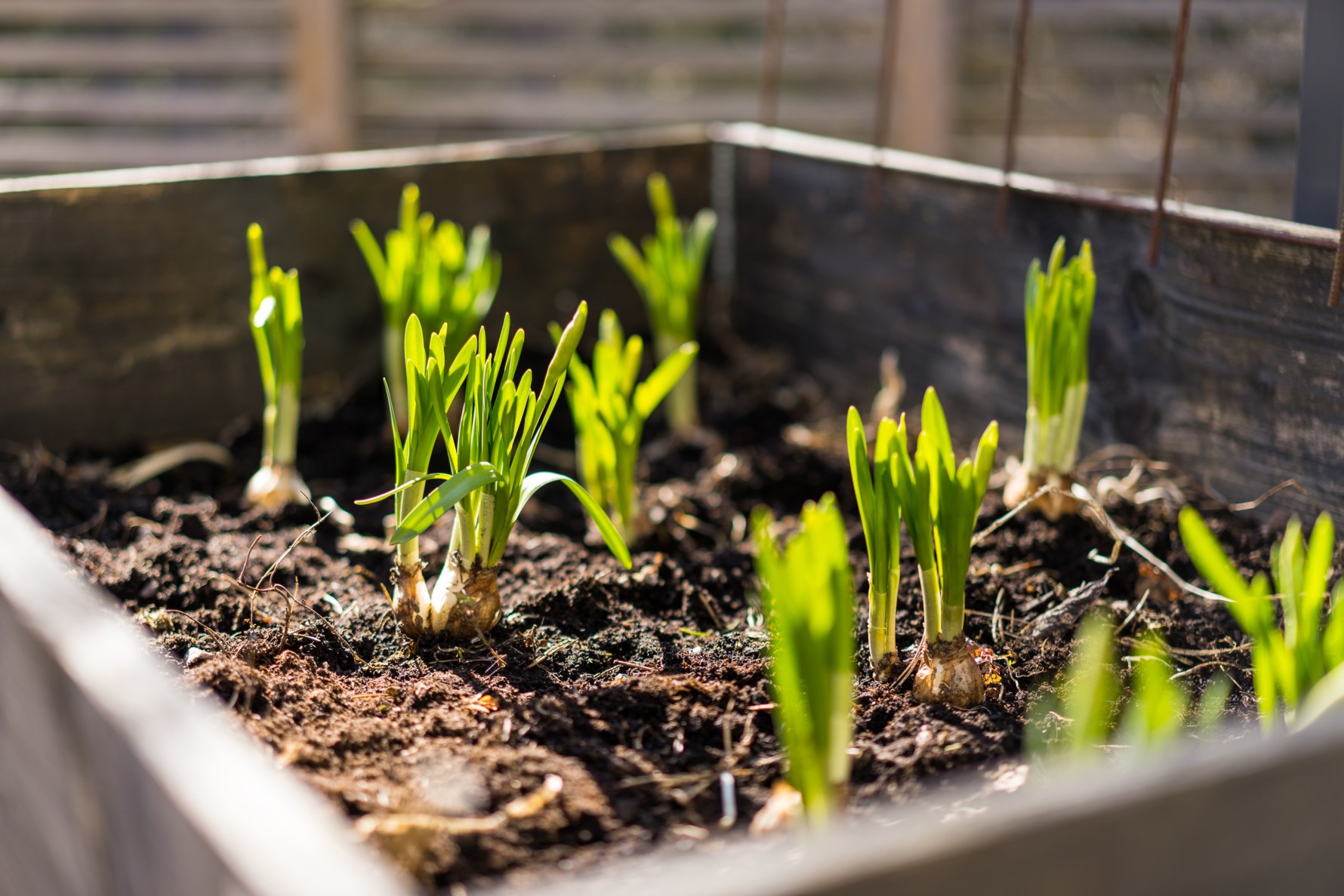 Bild 5 Stora Älsjövägen 57