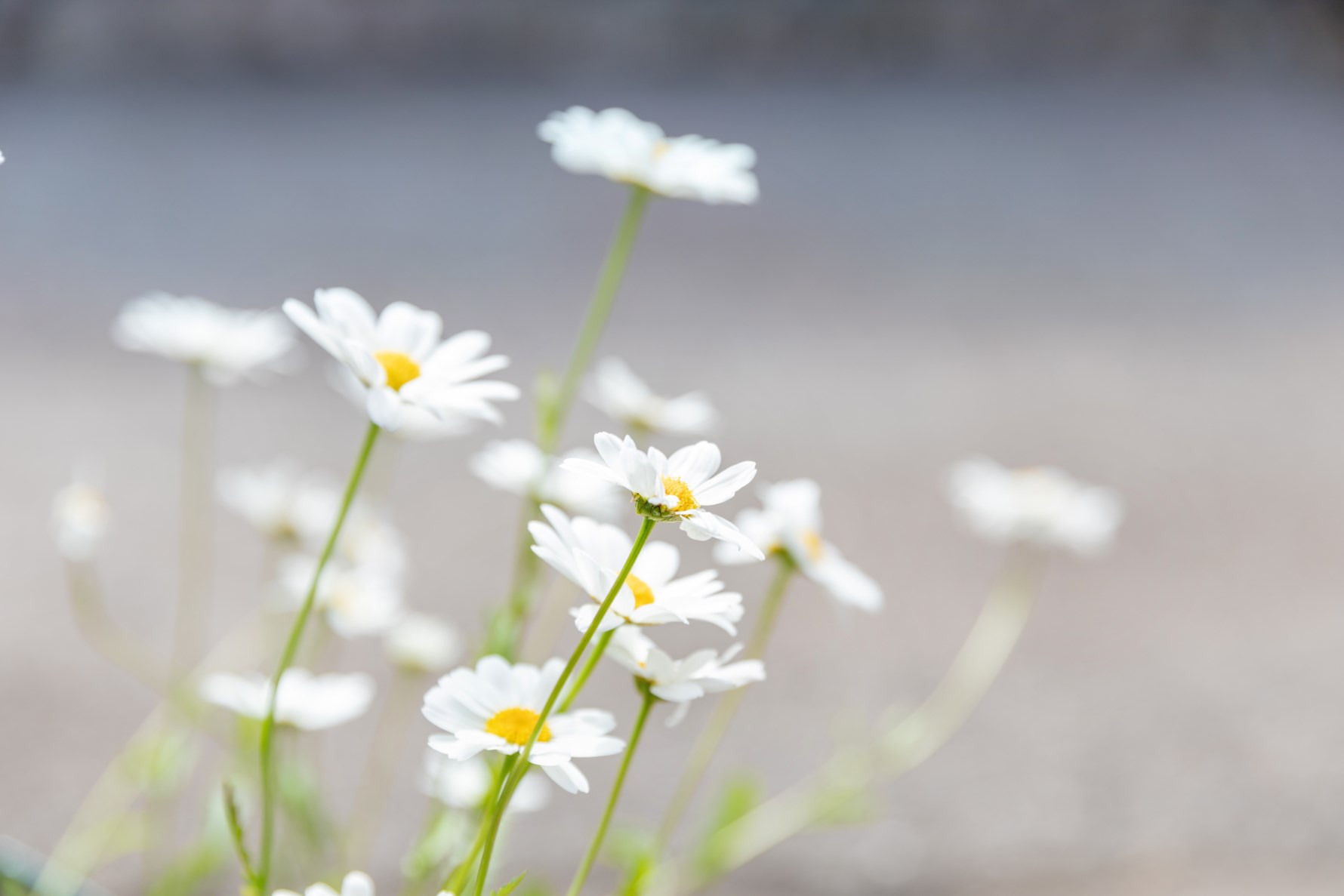 Bild 4 Åkereds skolväg 2C